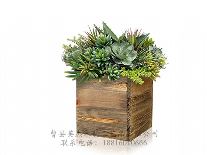 點(diǎn)擊查看詳細(xì)信息<br>標(biāo)題：木制花盆 閱讀次數(shù)：1176